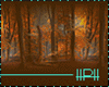 Ambient Autumn In Love
