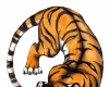 6v3| Tiger PNG