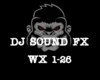 DJ FX WX