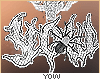 y. yow custom ★