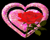   Rose Heart