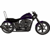 {HDH}Purple Bike
