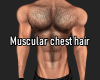 Muscular chest hair 3
