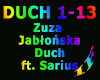Zuza J Duch ft. Sarius