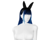 H* Blueberry Bunny