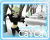 CaYzCaYz SnowBallFight
