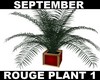 (S) Rouge Plant 1