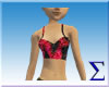-DS-RedHot d.h.10 Cami