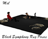 Black Symphony Rug Poses