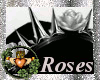 ~QI~ Roses And Spikes S