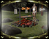 BP- ~CAMP~ Campfire