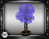 *AJ*Purple folidge tree