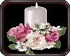 t| Wht+Pink Candle Rose