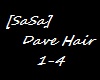 [SaSa] Dave Hair 1
