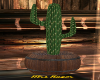 UPSCALE COUNTRY CACTI 1