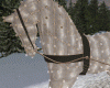 ! Glam Horse Carriage