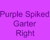 .D. Purple Spiked Garter
