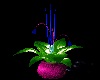 Magenta Potted Plant