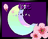 {花}Pastel Moon Crib