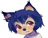 Wolf Children Ame Ears