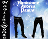 Handsome Andrea Pant's