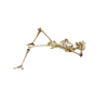 Skeleton Relaxing