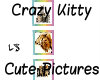 Crazy Kitty Cute Picts 4
