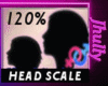 SCALER HEAD