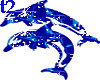 Dolphin_2