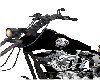 Female MotorHead Bike