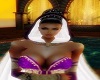 stelly2