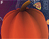 Pumpkin Head F