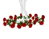 Roses  & Love