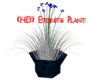 [HD] Eternity Plant