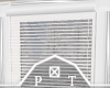 White Window Blinds
