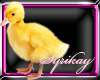 Duck~Egg Filler