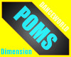 Dimension of  Poms M