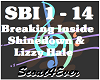 Breaking Inside-Hale/Shi