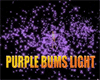 purple bums light