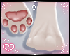 ˏˋ✧ Furry Paws 