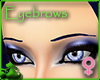Thin Blub Eyebrows (F)