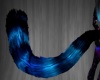 Black and Blue Tail