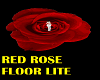 floor dj  light rose
