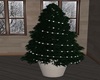 WC Mini Pine Tree