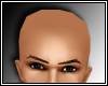 Bald Head  *M