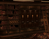 I. Library II