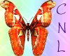 [CNL]Filler butterfly 5