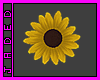 ~Sunflower -R