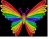 Rainbow Butterfly