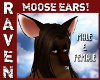 M & F MOOSE EARS!